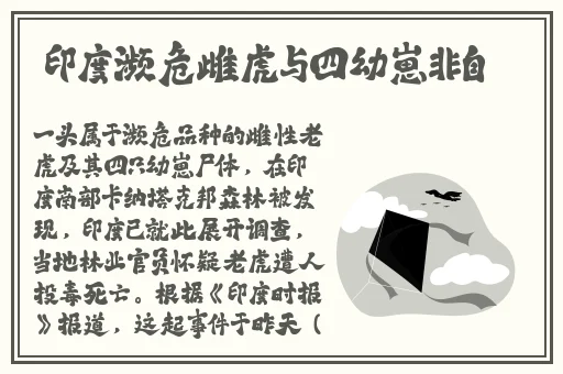 榴莲视频下绿巨人下载